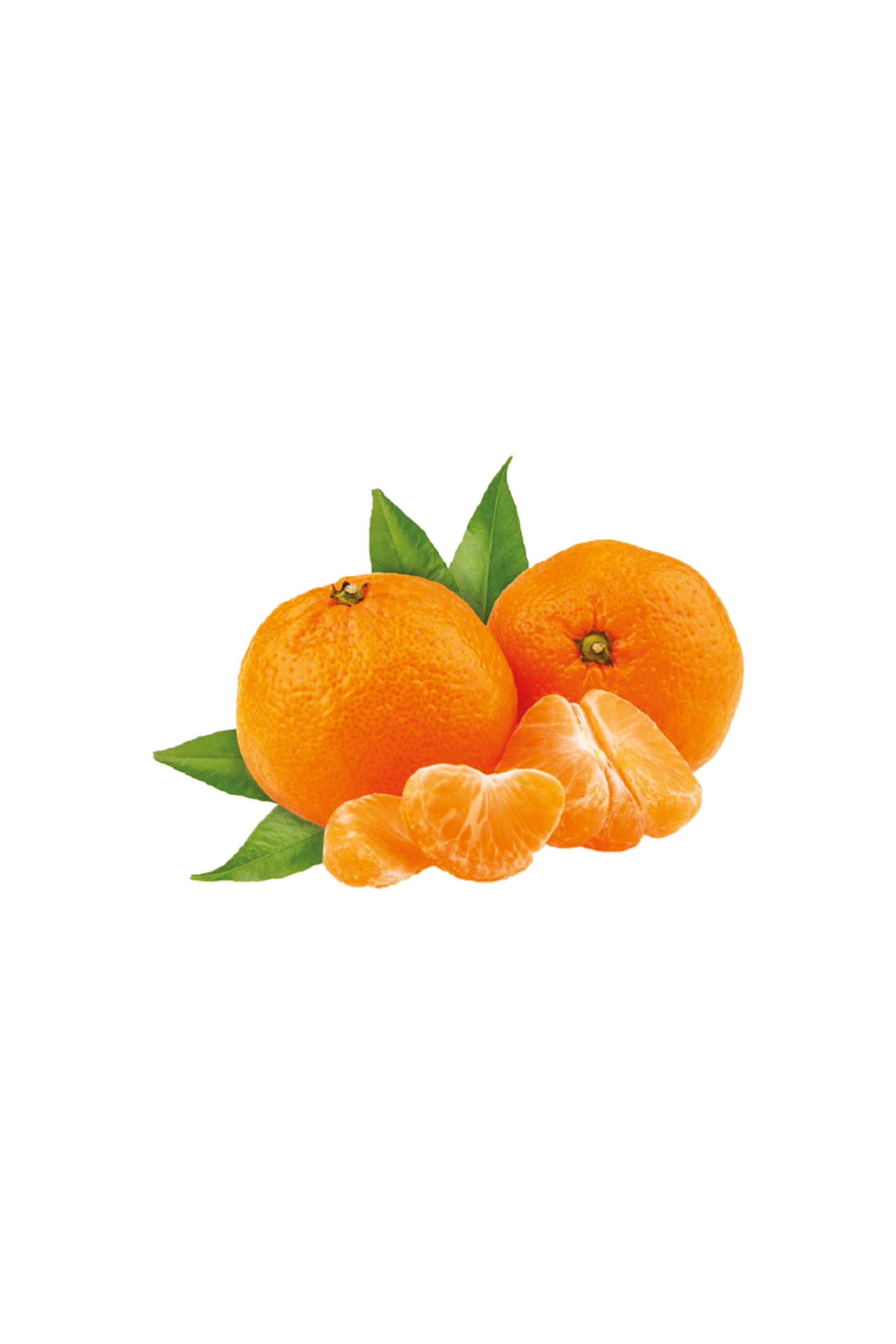 clementine-new Clementine