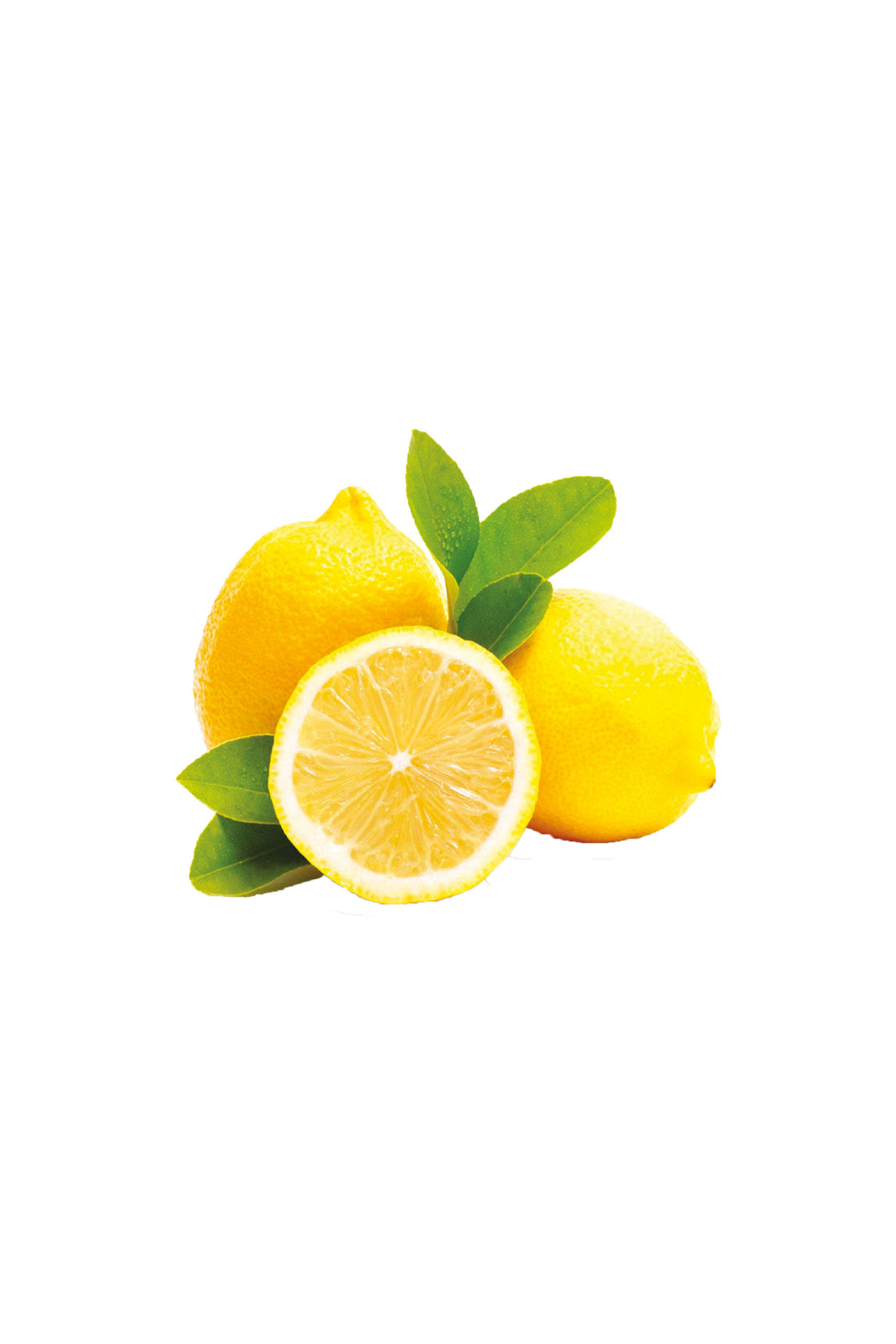 limoni-new Limoni