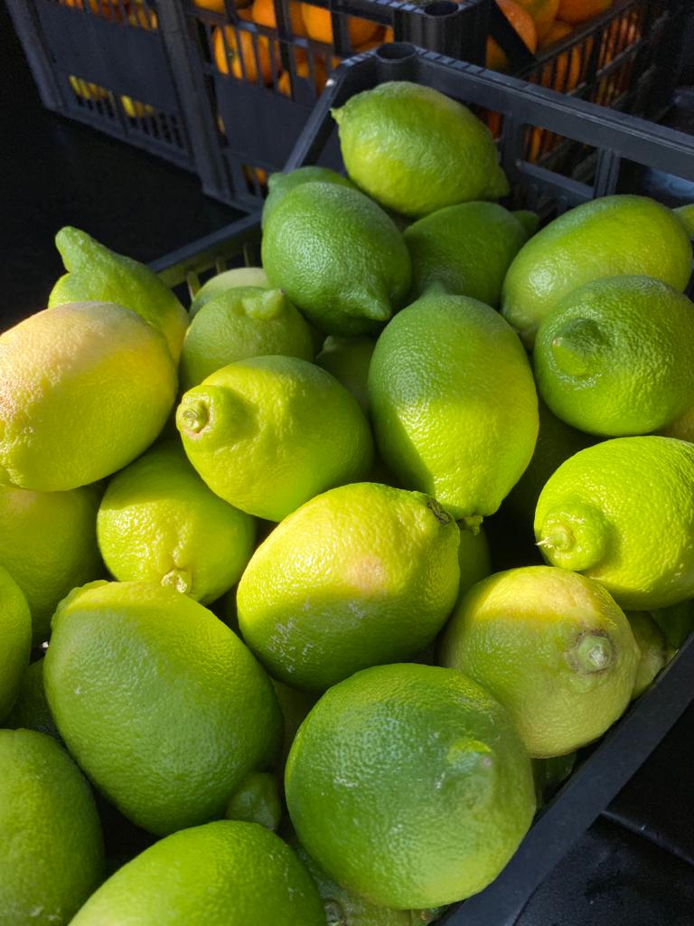 limoni Limoni